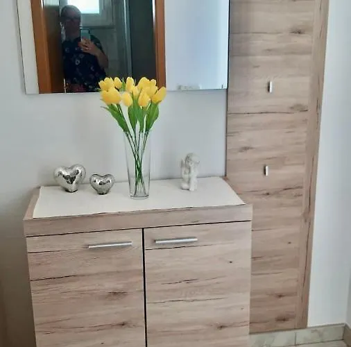 아파트 Marinela 로고즈니차